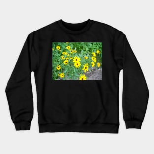 rudbeckia Crewneck Sweatshirt